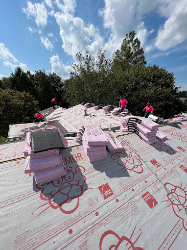 Green Roofing Solutions: Eco-Friendly Tips from Roofers